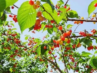 此时赵军虽然并未战败但是军心涣散韩信率领......《不战全胜》摘录